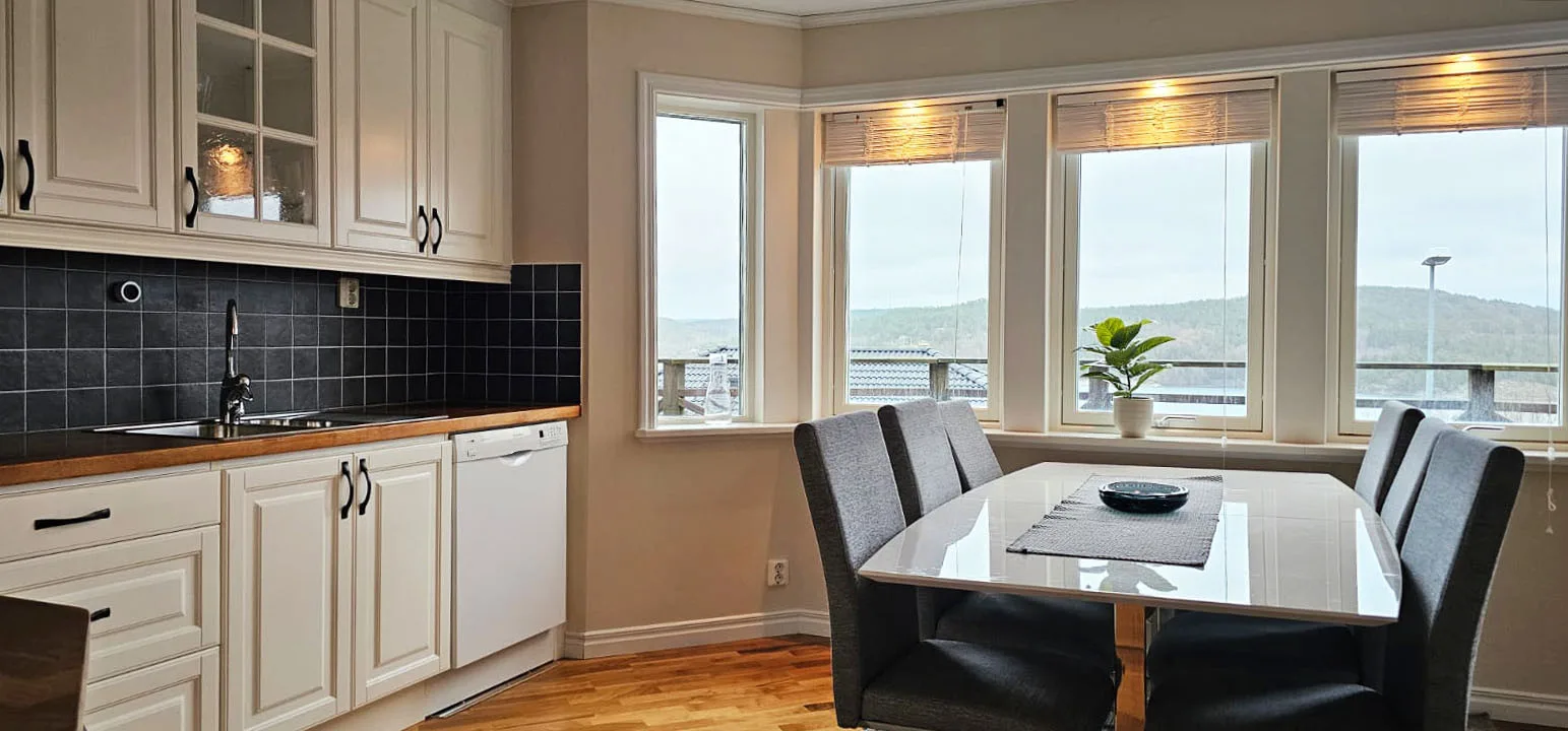 Modern villa with sea view in Svanesund | SE09101
