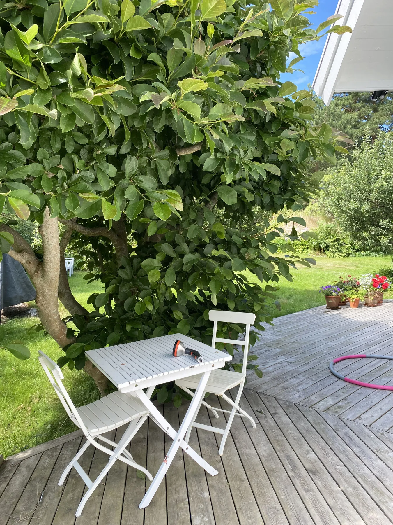 Nice and comfortable villa on the historic Näset in Gothenburg's archipelago | SE08031