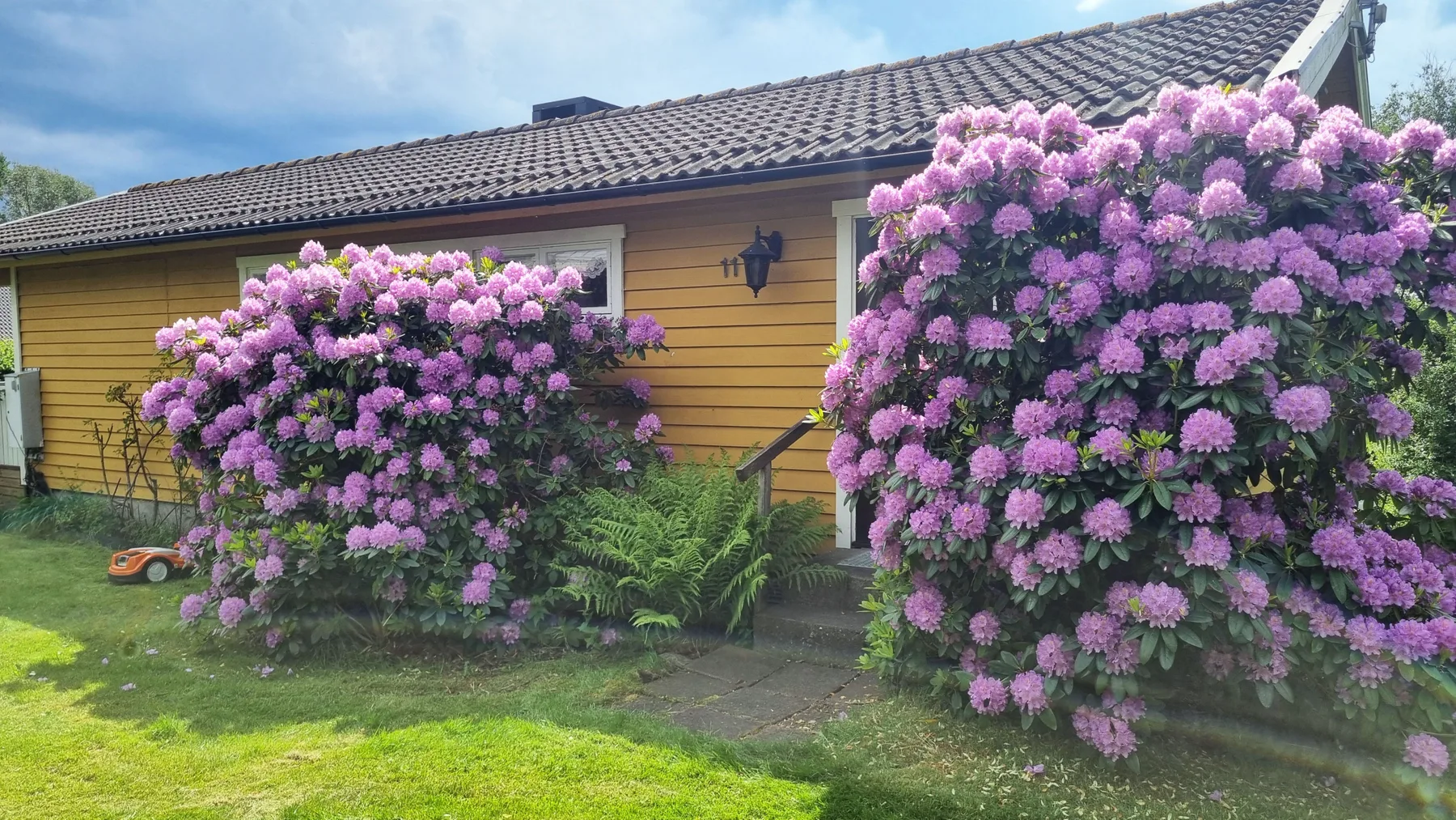 Dream cottage by the sea in Frillesås |SE02120