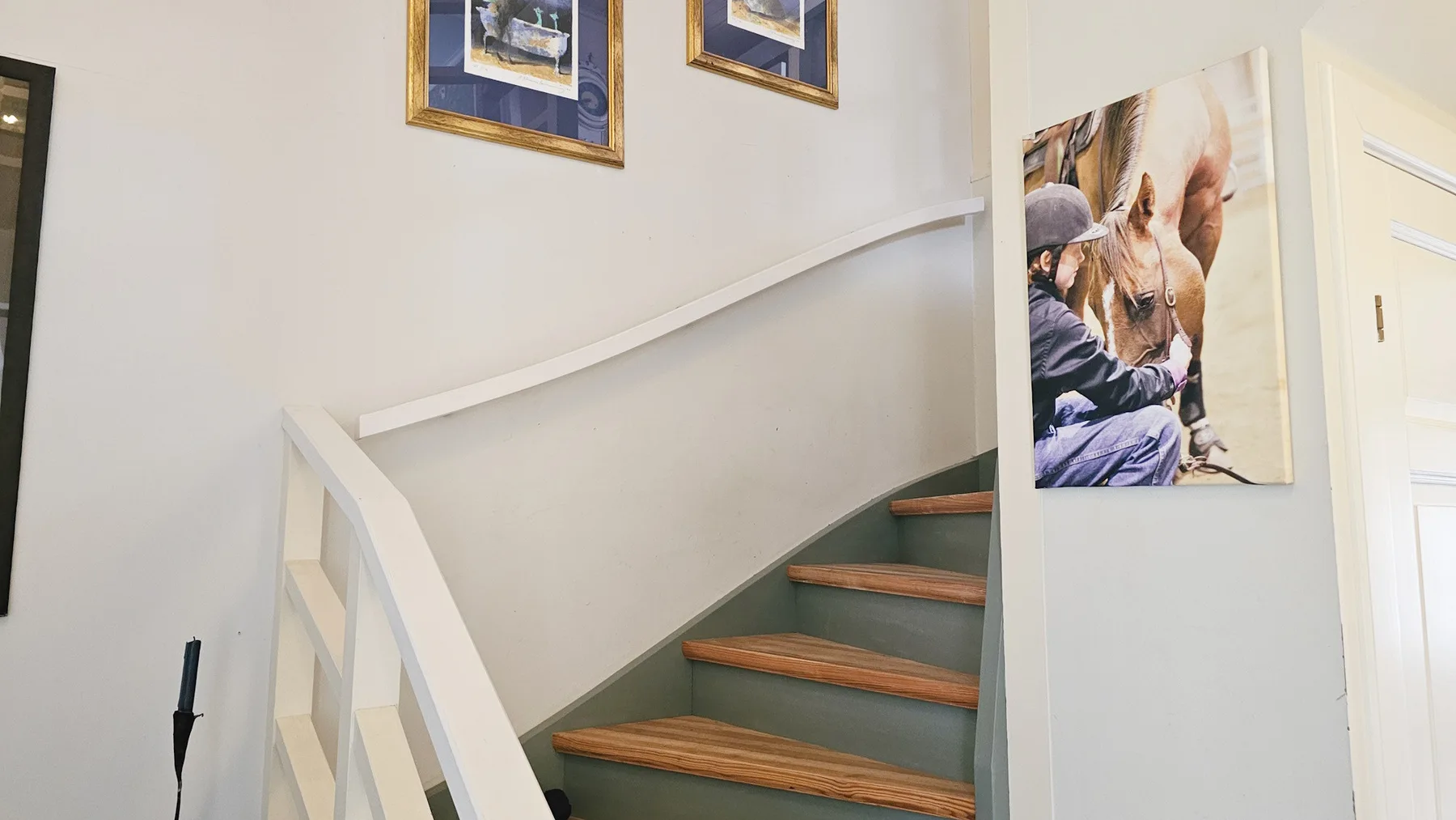 Large villa near the lake with rowing boat | SE09131