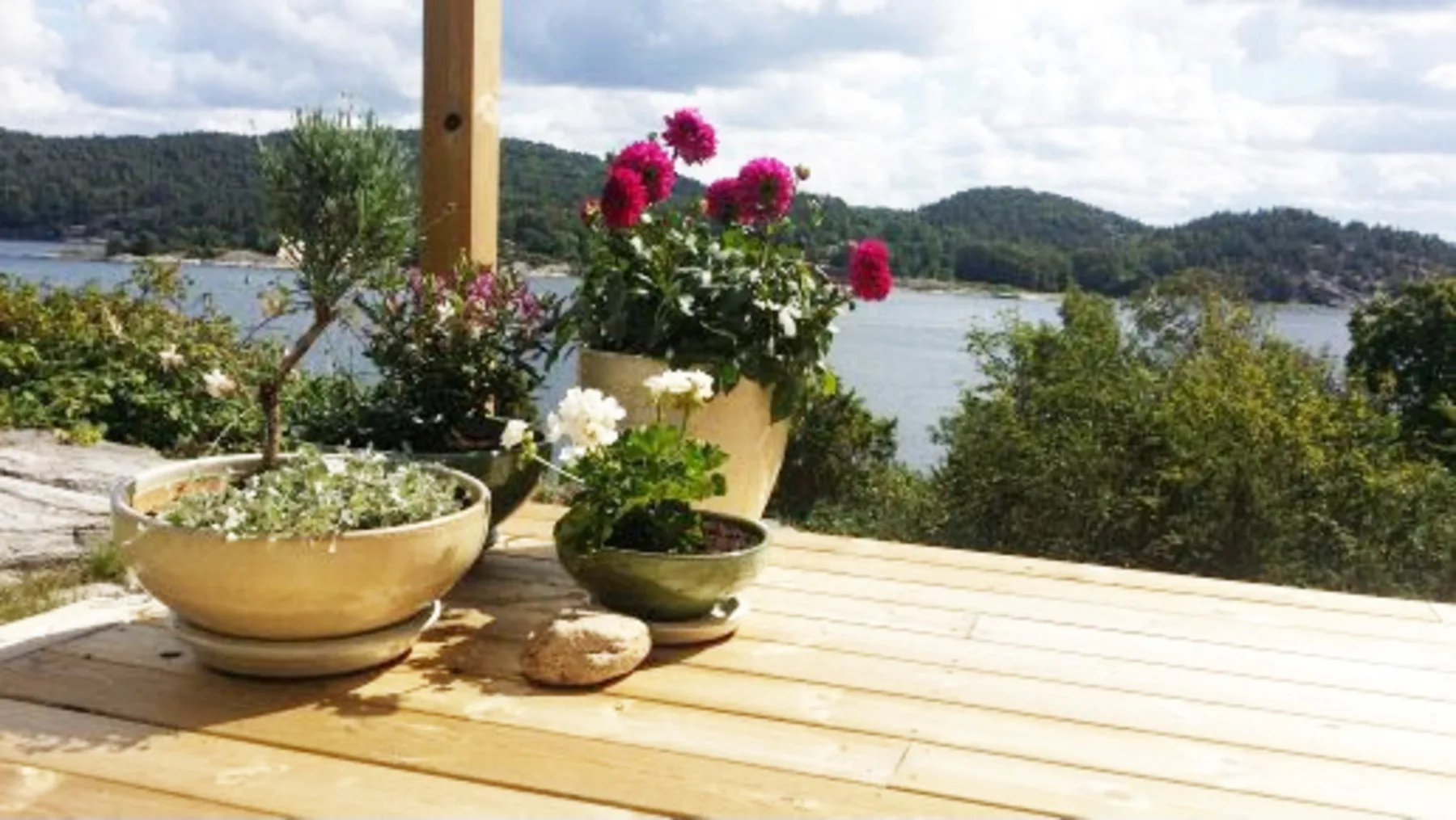 Sea View and 100 m to the Sea in Svanesund | SE09137
