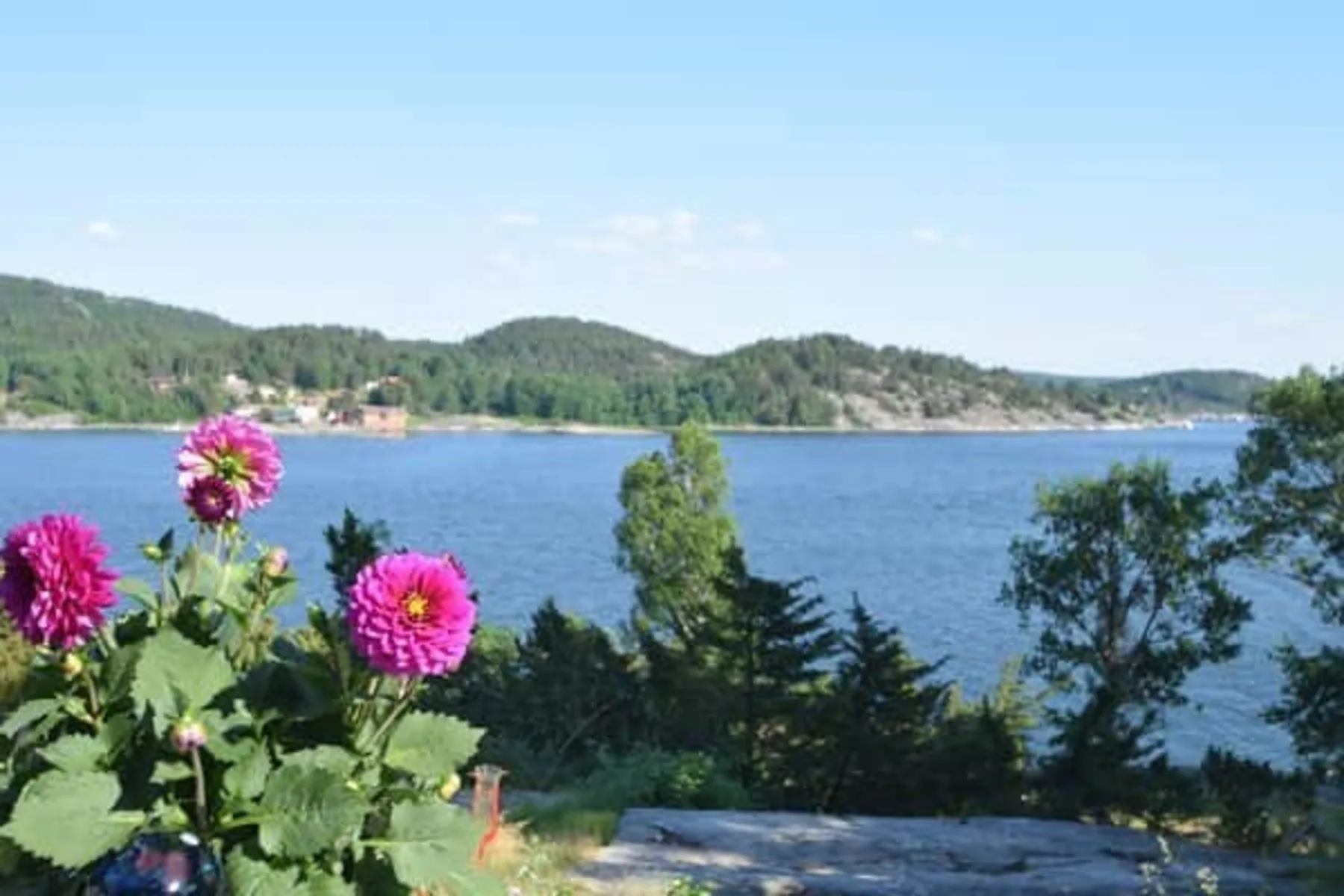 Sea View and 100 m to the Sea in Svanesund | SE09137
