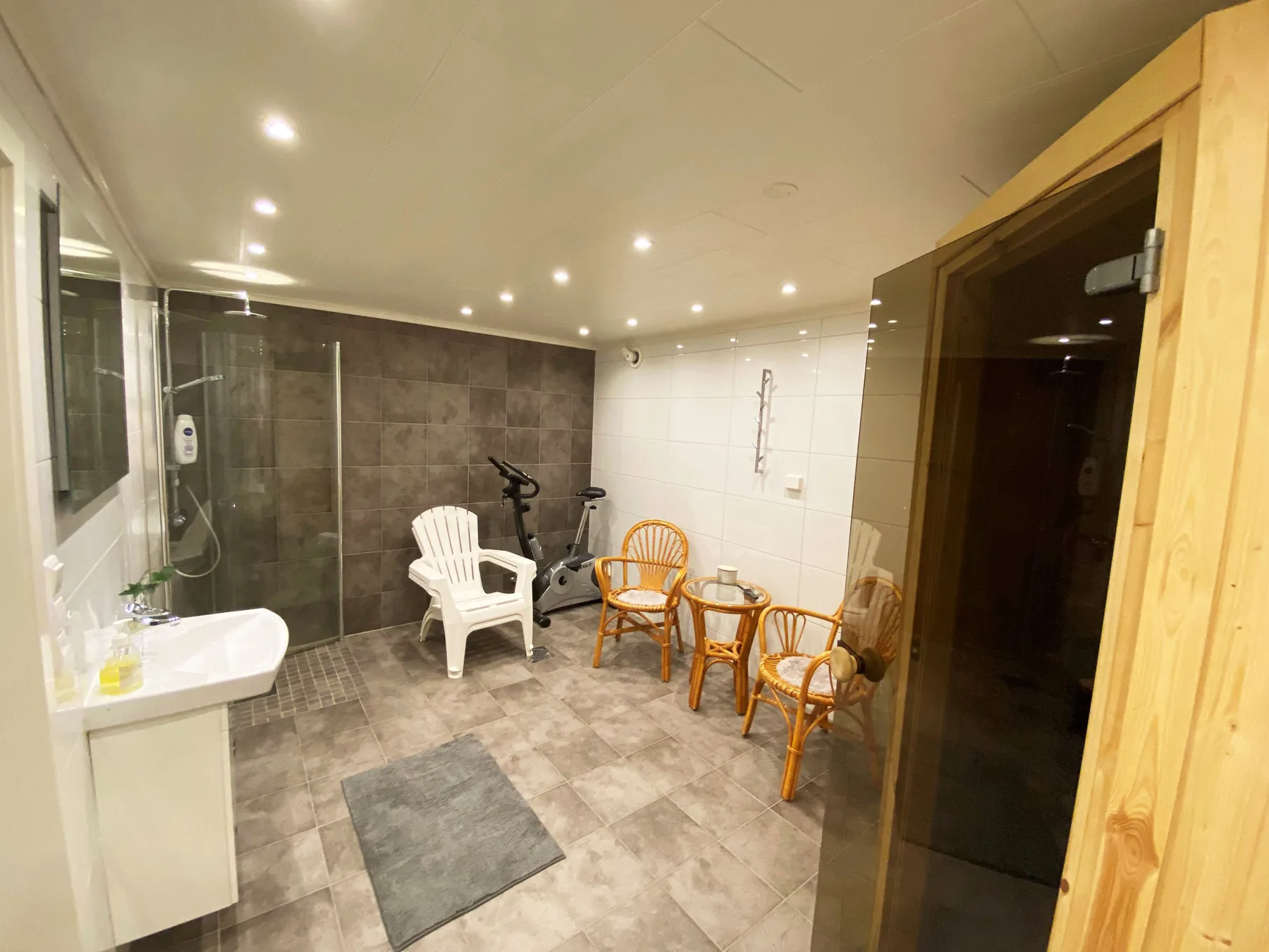 Villa with sauna, 650 m to the beach | SE09135