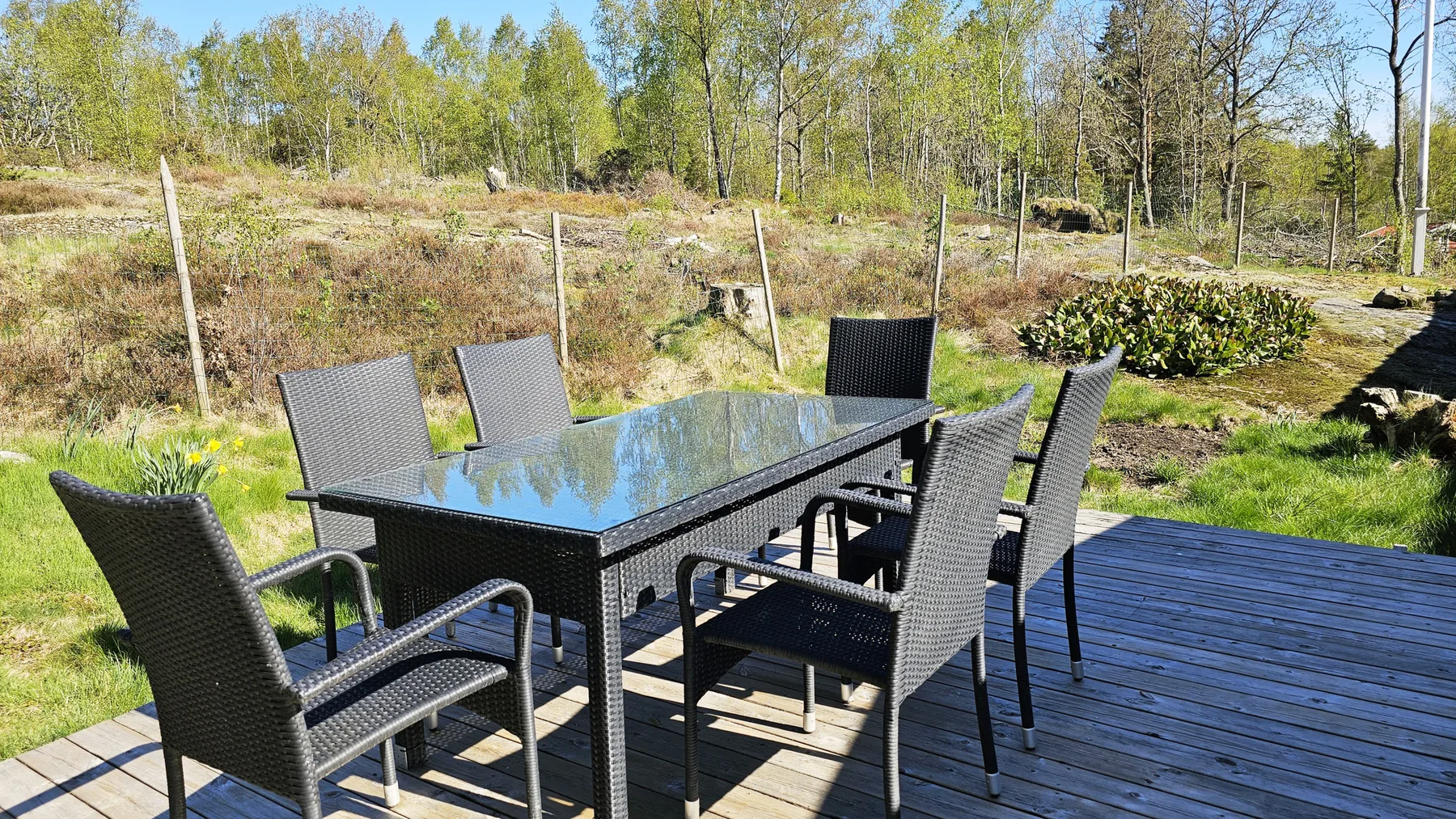 Dog-friendly house with large garden in Svanesund | SE09173