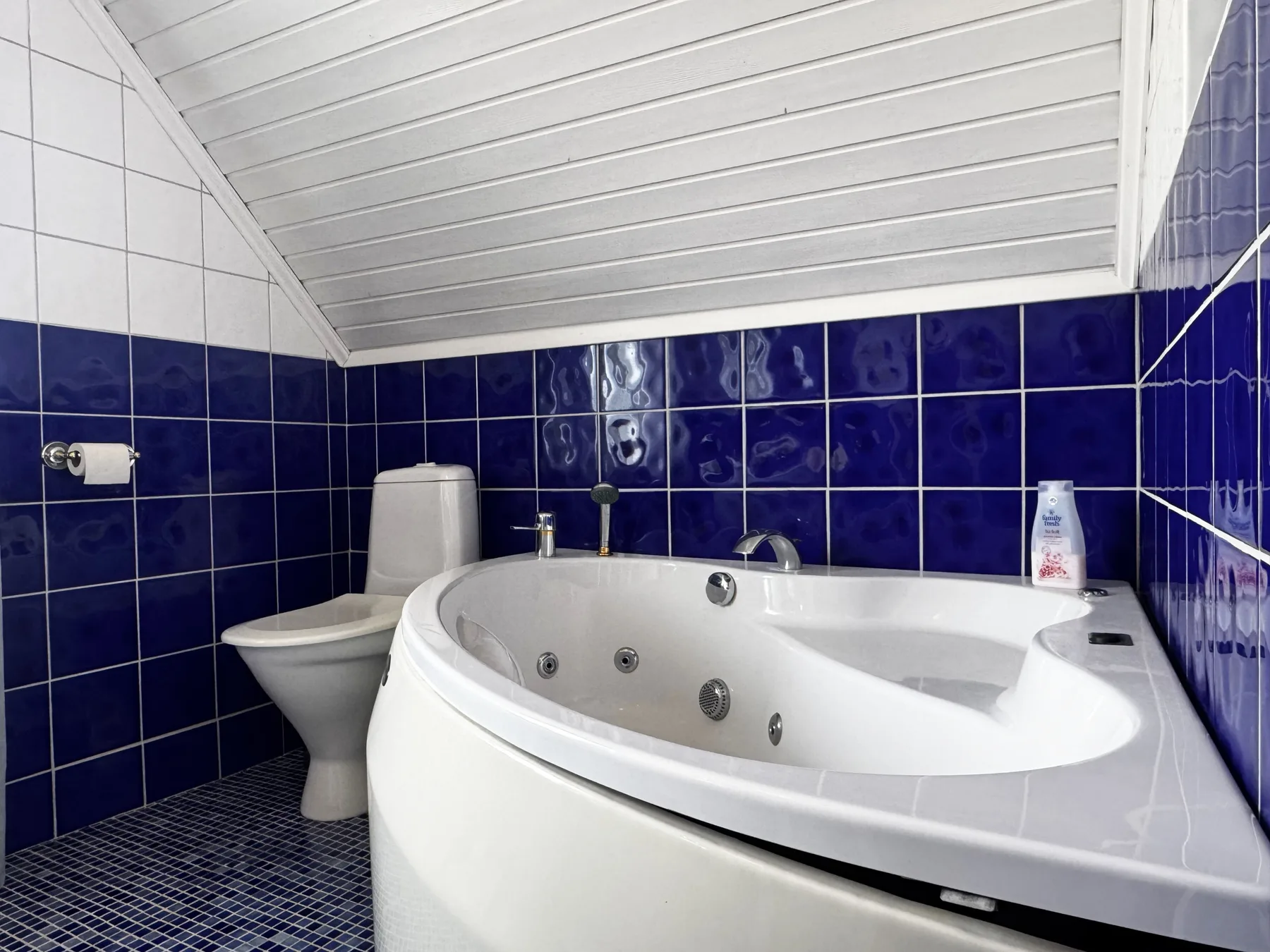 Holiday home in beautiful Kungshamn – perfect for two families | SE09079