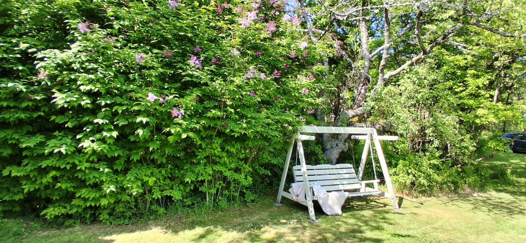 Charming house with kayaks, 300m from the sea on Orust | SE09139