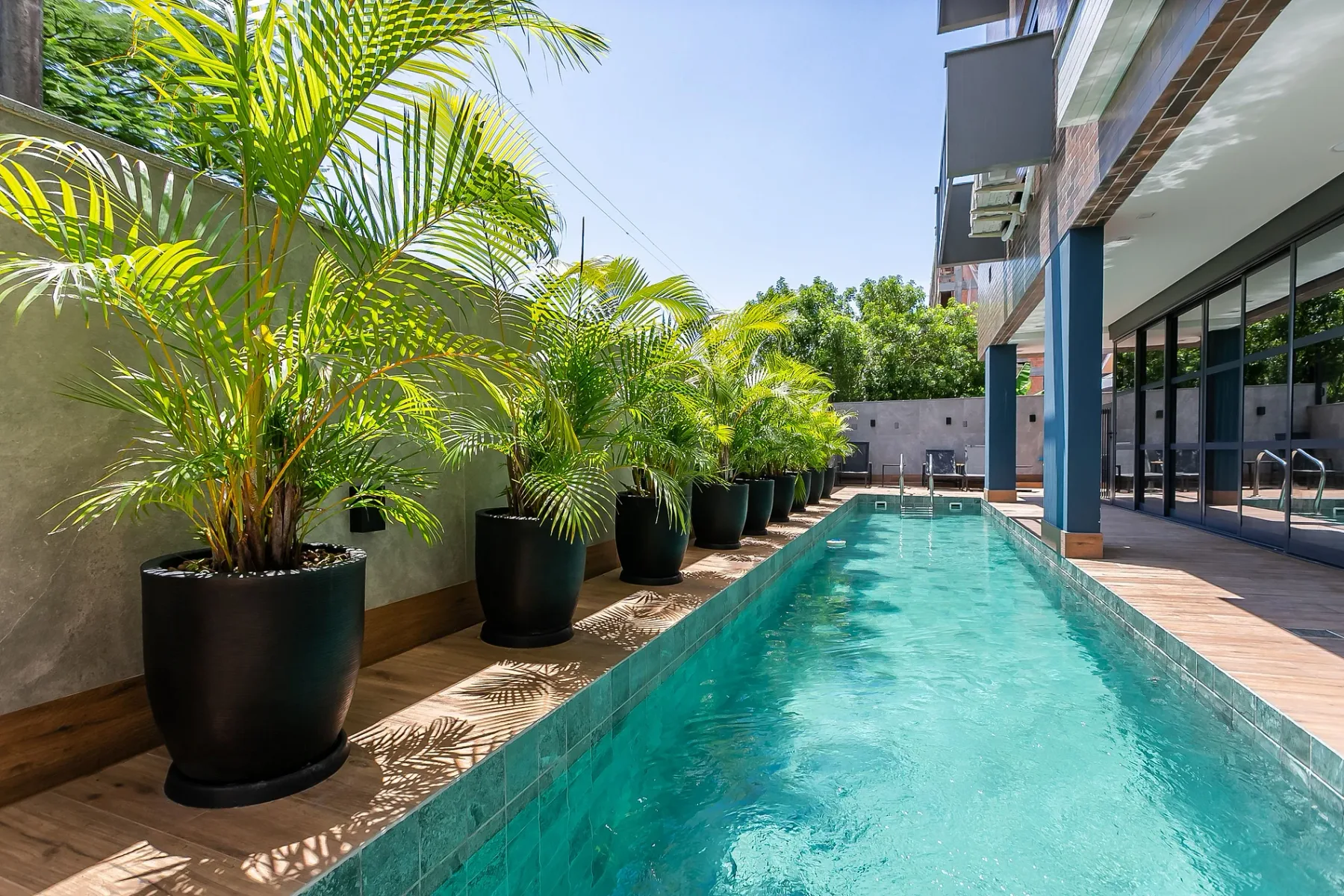 Shared amenity: An outdoor swimming pool runs alongside a building and potted palms.