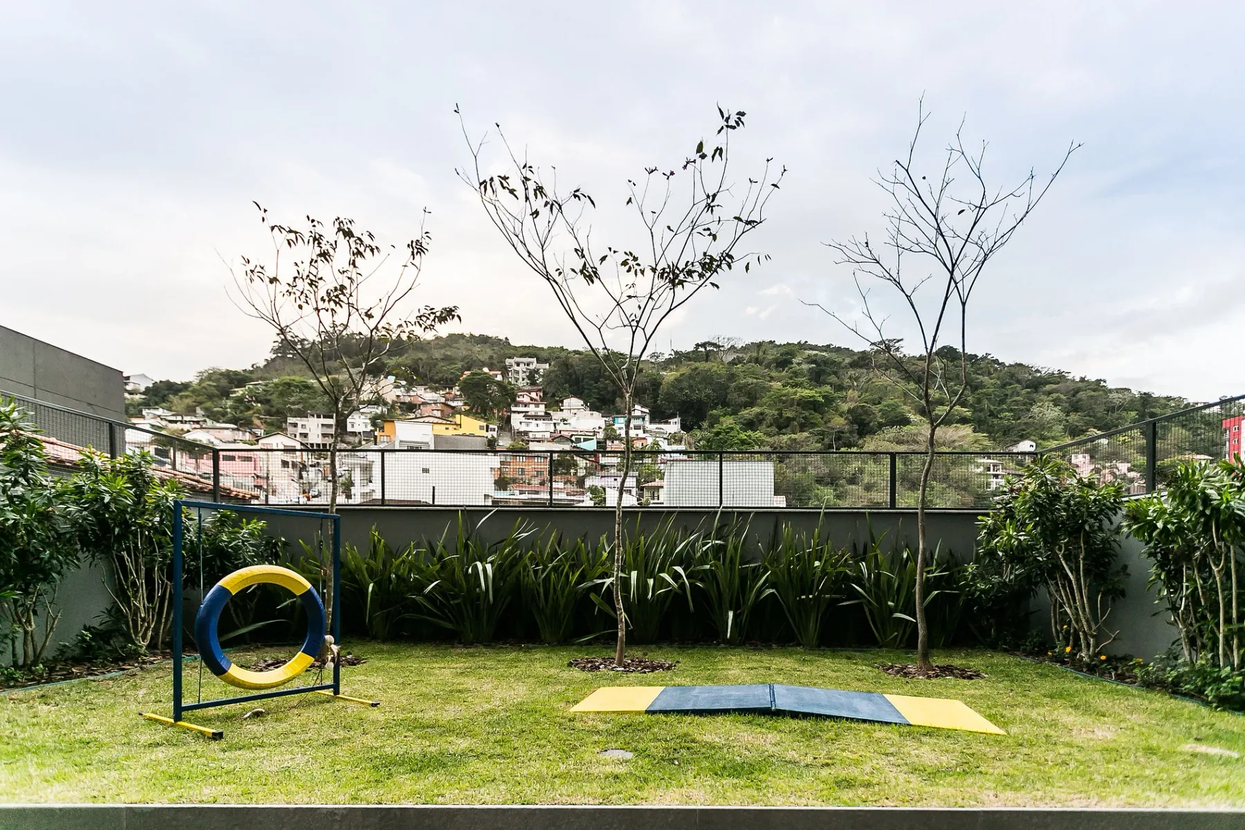 Shared amenity: A grassy outdoor area with plants and a low platform.