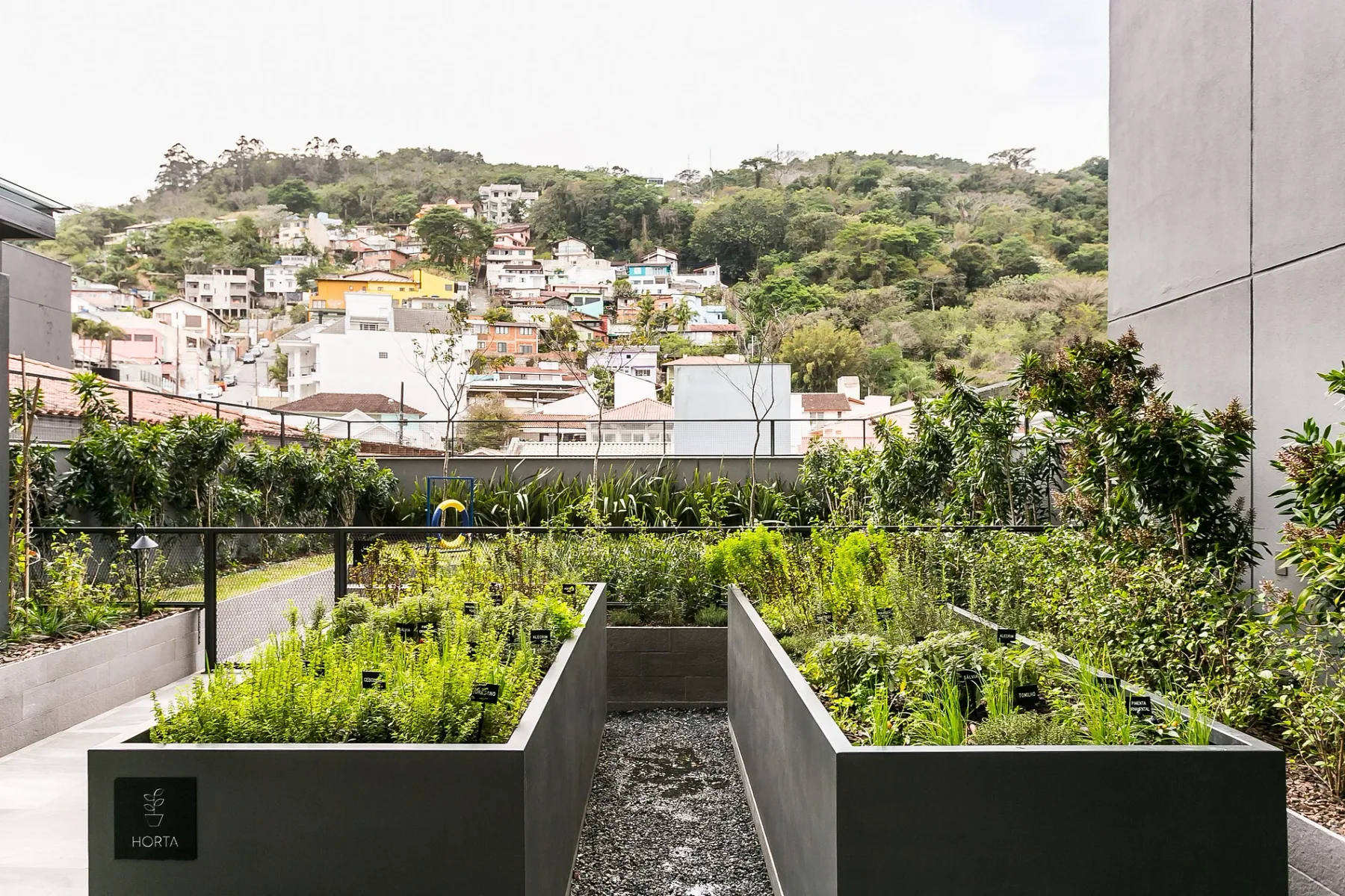 Shared amenity: A rooftop garden with planted beds overlooks a hillside neighborhood.