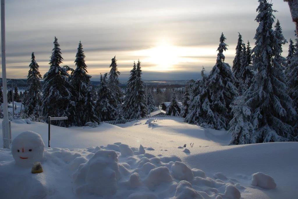 Buhaug hytte