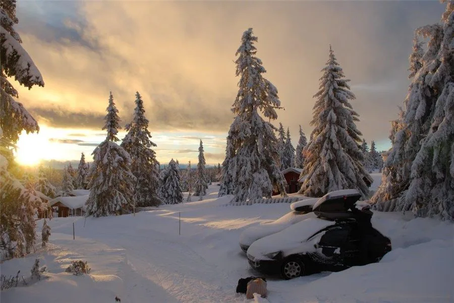 Buhaug hytte