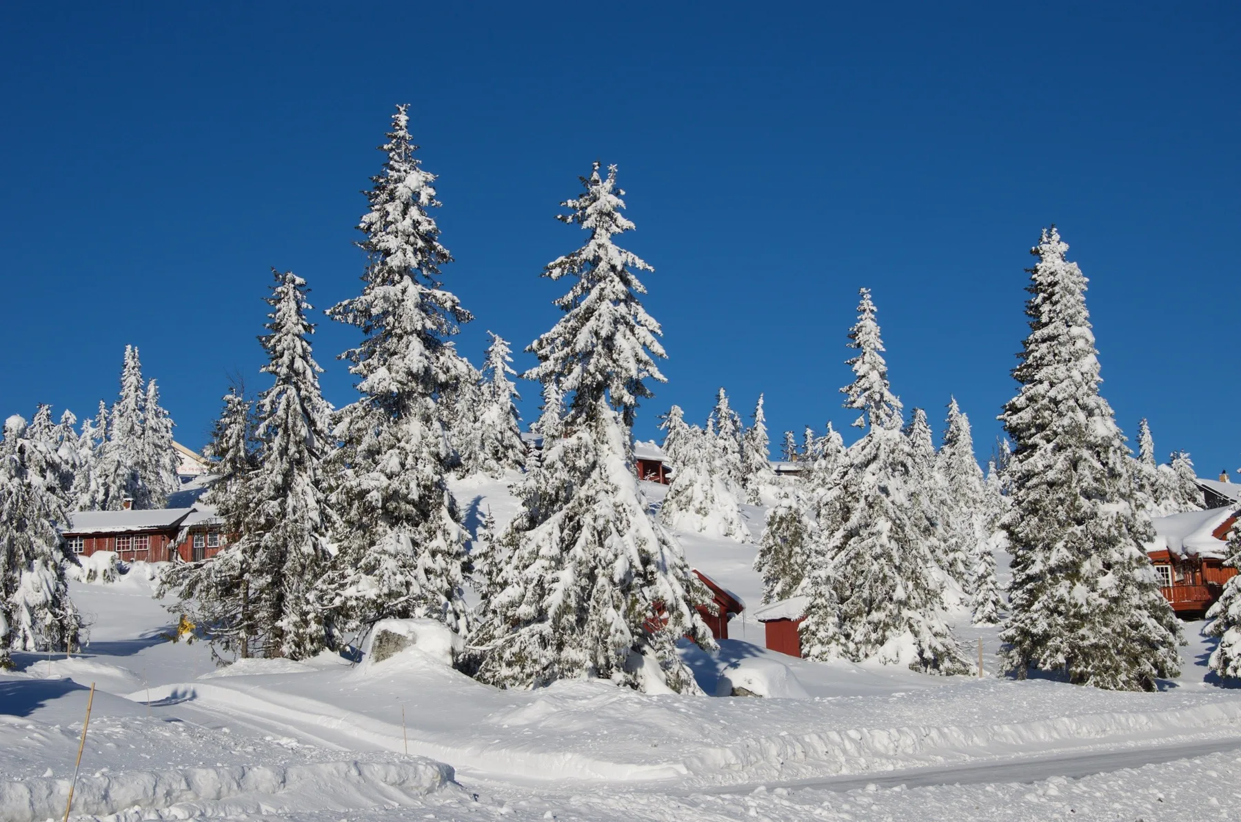 Buhaug hytte