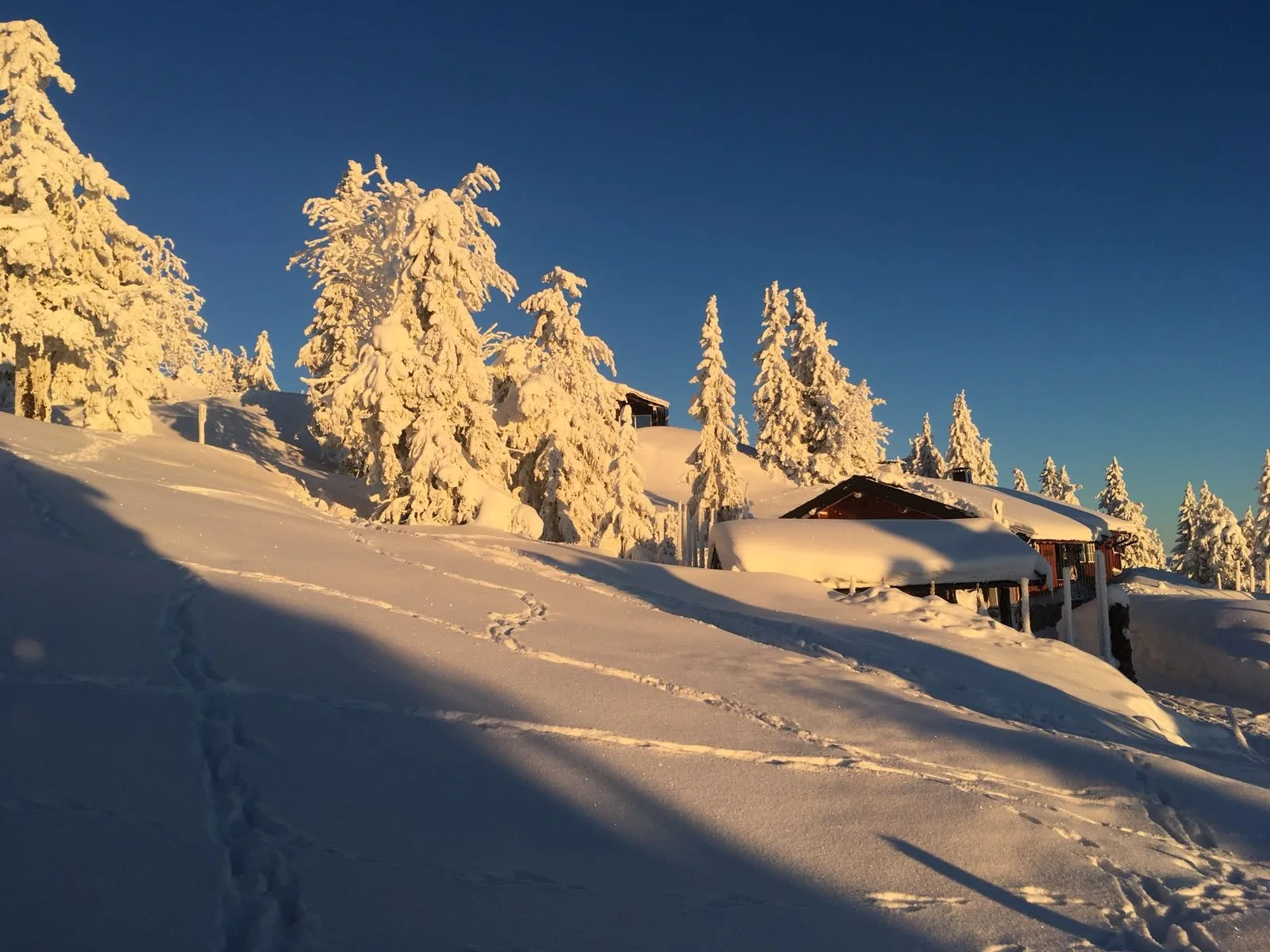 Buhaug hytte