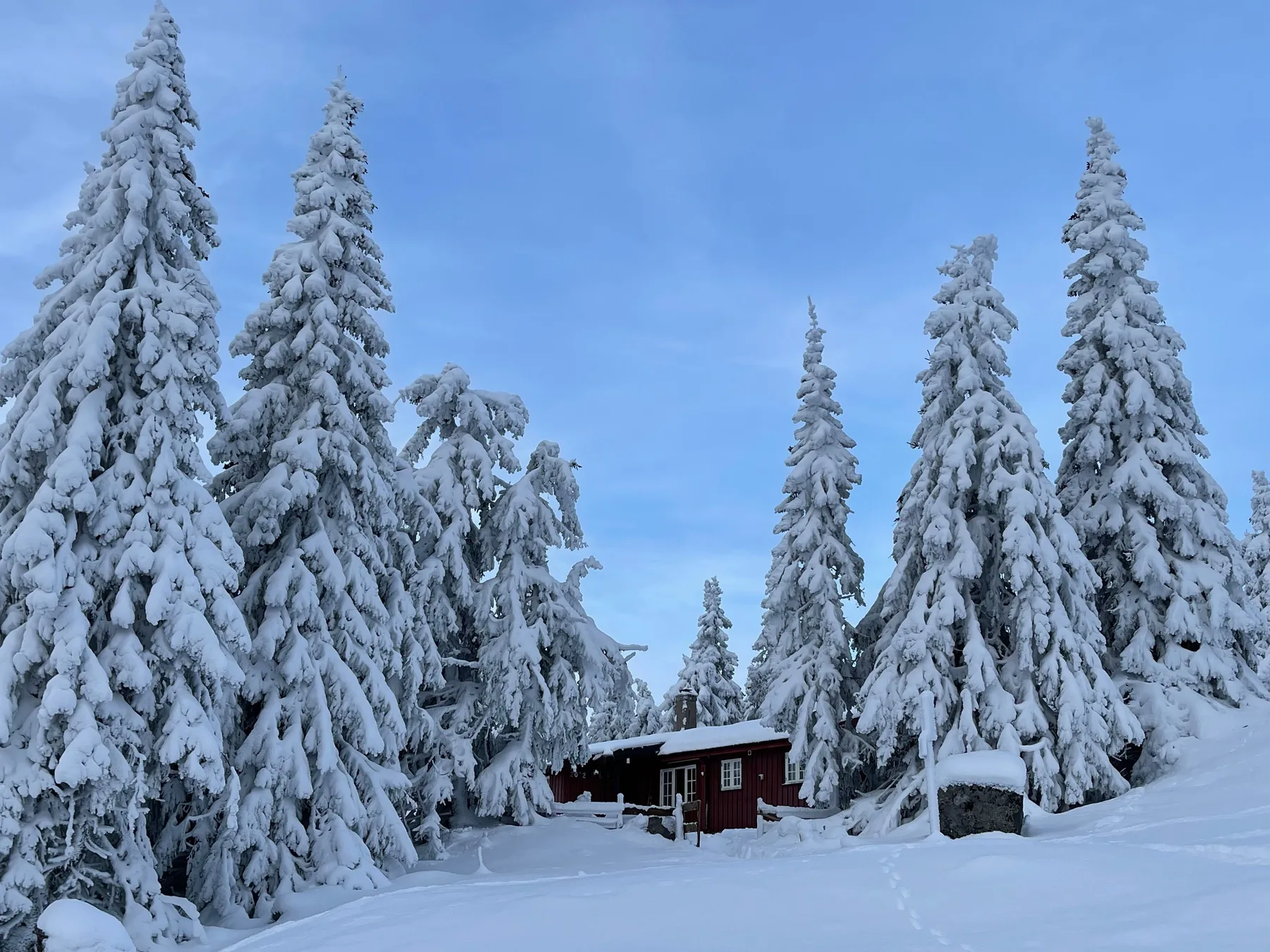 Buhaug hytte