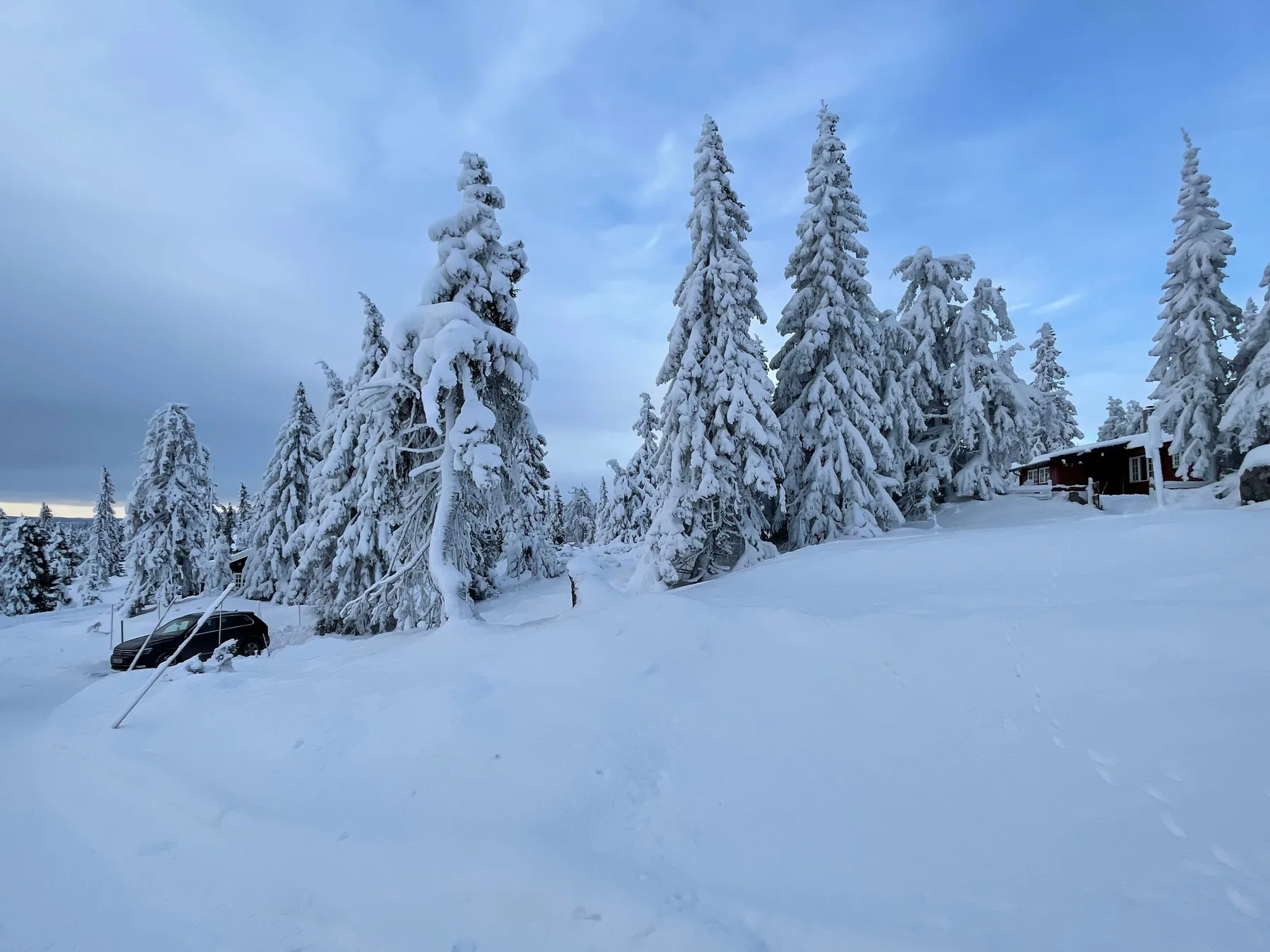 Buhaug hytte