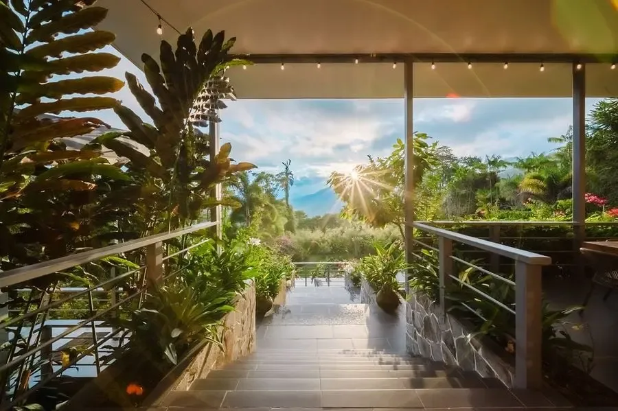 Una escalera exterior bordeada de plantas desciende hacia un jardín bajo el sol.