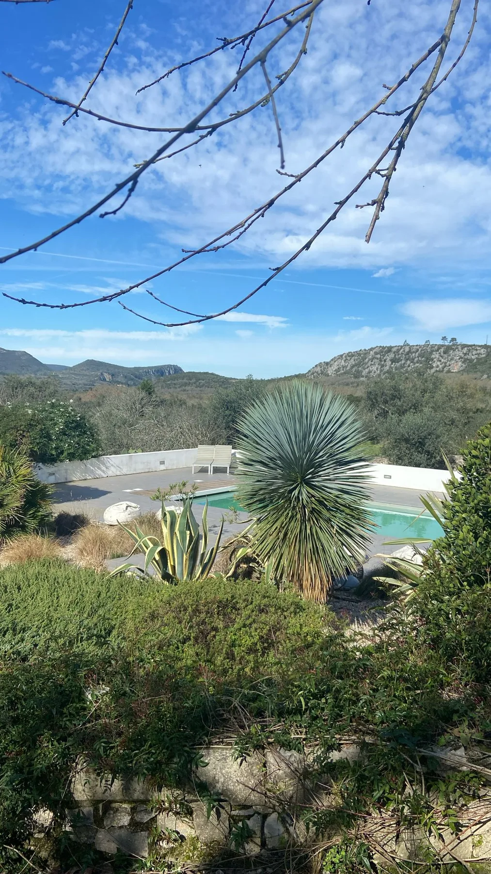 Espacio representativo del hotel: Una piscina al aire libre está rodeada de arbustos, con colinas a lo lejos.