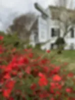 Representative hotel space: A garden with red flowers in front of a light-colored building.