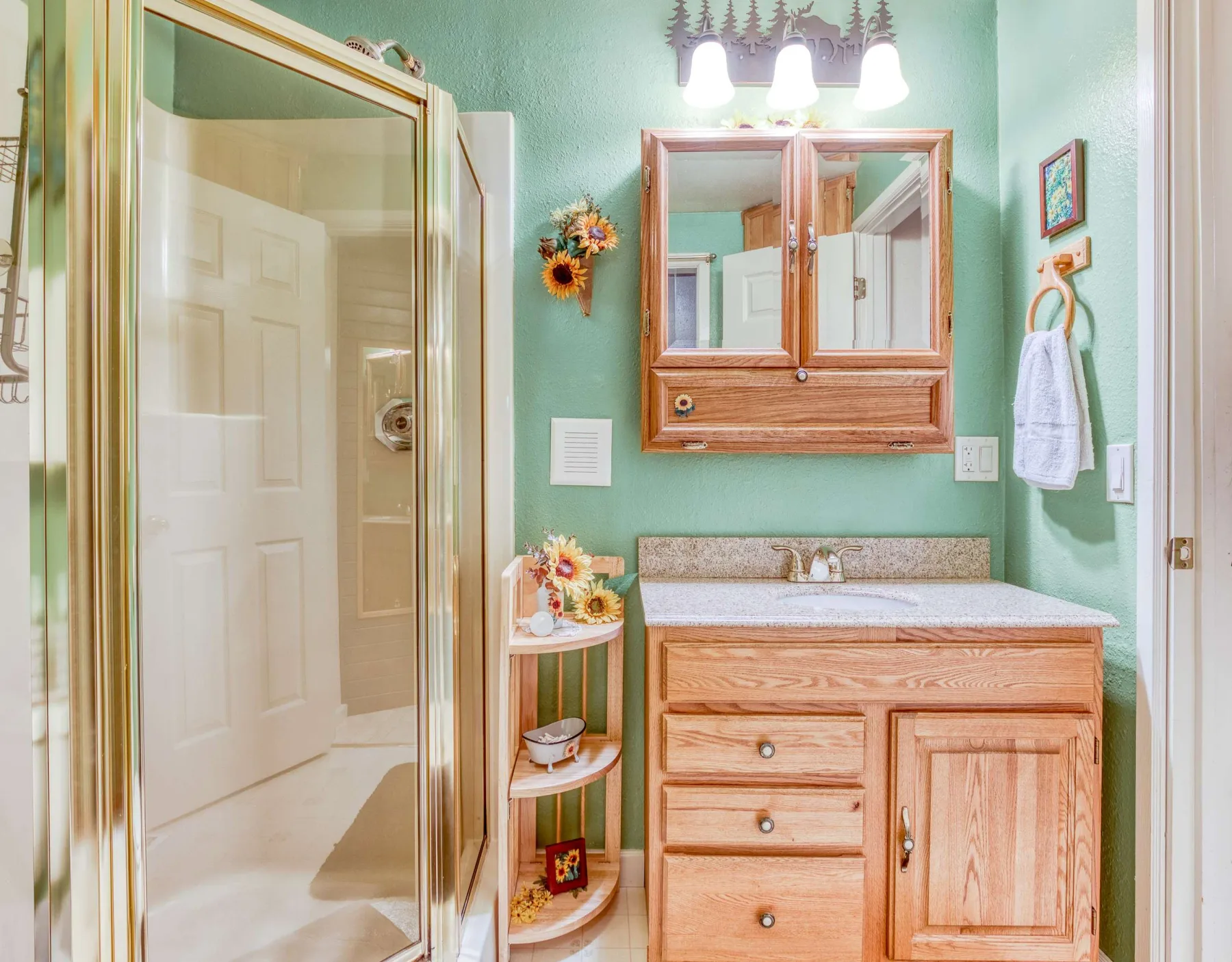 Un baño con ducha de vidrio, mueble de lavabo de madera y armario con espejo.