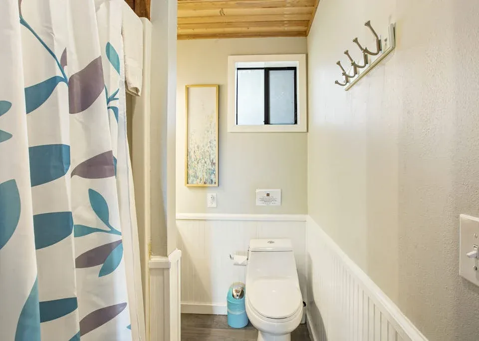 A bathroom with a toilet, patterned shower curtain, and wall hooks.