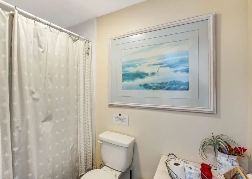 A bathroom with a shower curtain, framed artwork, and a sink.