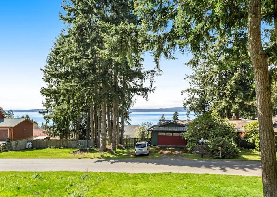A tree-lined residential street overlooks the water, with a small garage beside the road.