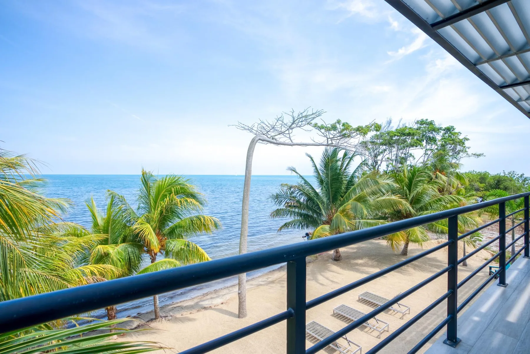 A seaside balcony overlooks palm trees, the shore, and the ocean.