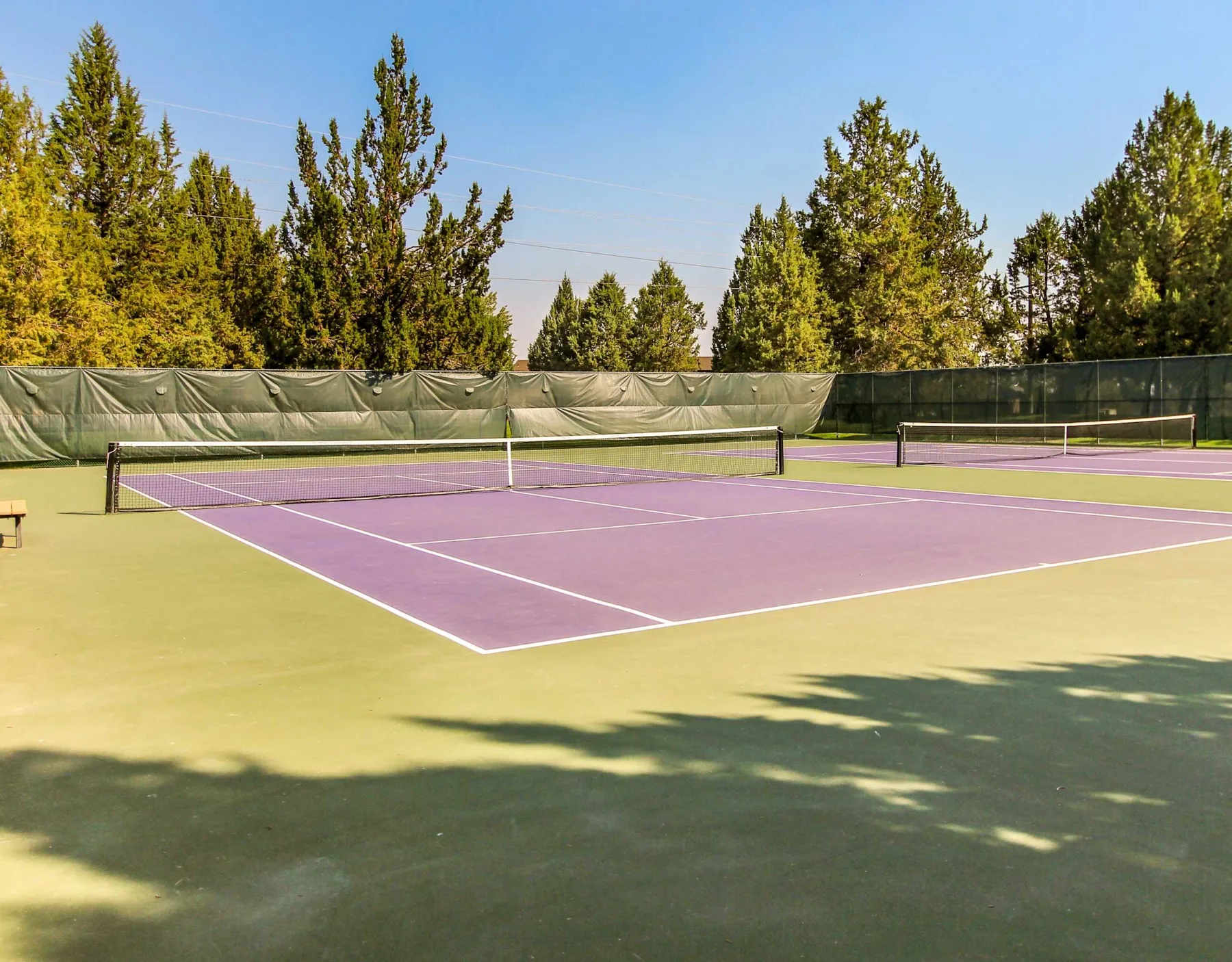 Zona común: Canchas de tenis al aire libre con redes, rodeadas de árboles altos.