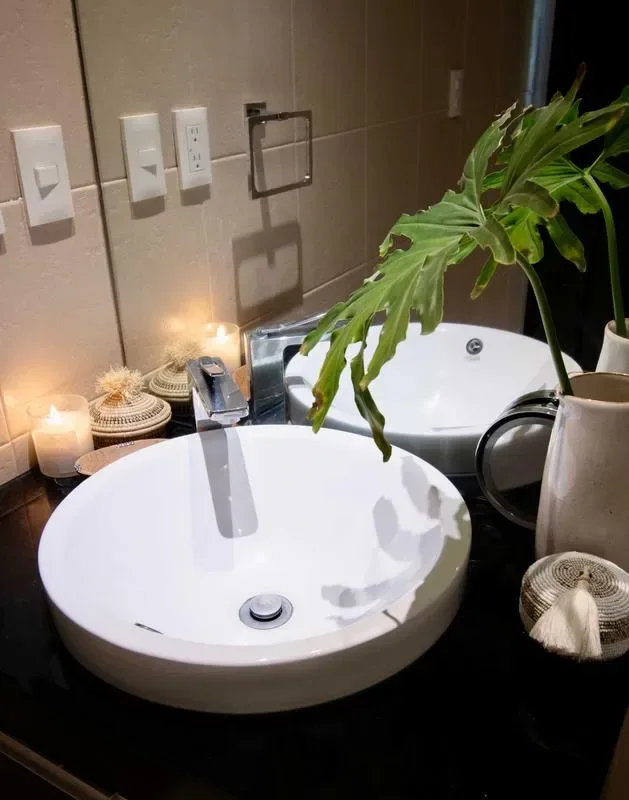 A bathroom vanity with a white vessel sink, mirror, and leafy plant.