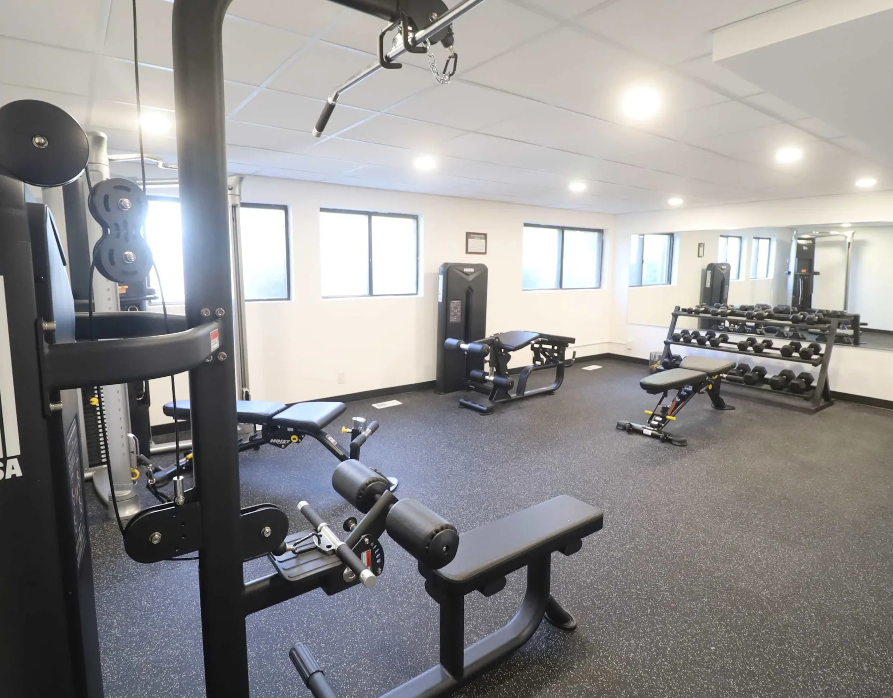Zona común: Un gimnasio con máquinas de fuerza, bancos y pesas.