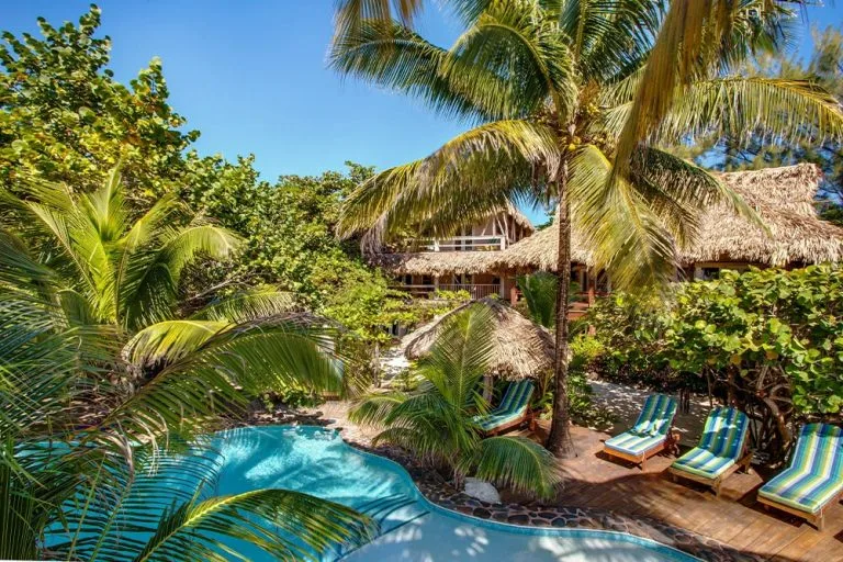 Espacio representativo del hotel: Una piscina tropical al aire libre está rodeada de palmeras y tumbonas acolchadas.