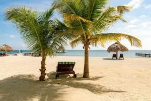 Espacio representativo del hotel: Una playa de arena con palmeras, un banco y sombrillas de techo de paja junto al mar.