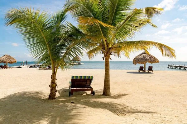 Espacio representativo del hotel: Una playa de arena con palmeras, asientos reclinables y sombrillas de paja.