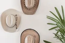 A light-colored surface displays three decorative objects beside a leafy plant.