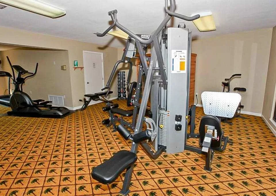 Zona común: Una sala de ejercicios con máquinas y equipo para entrenar con pesas.
