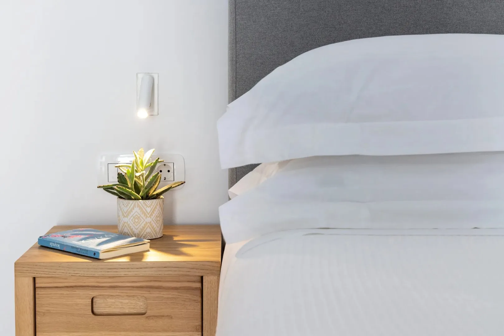 Bedroom scene with a bedside table, books, and a potted plant.