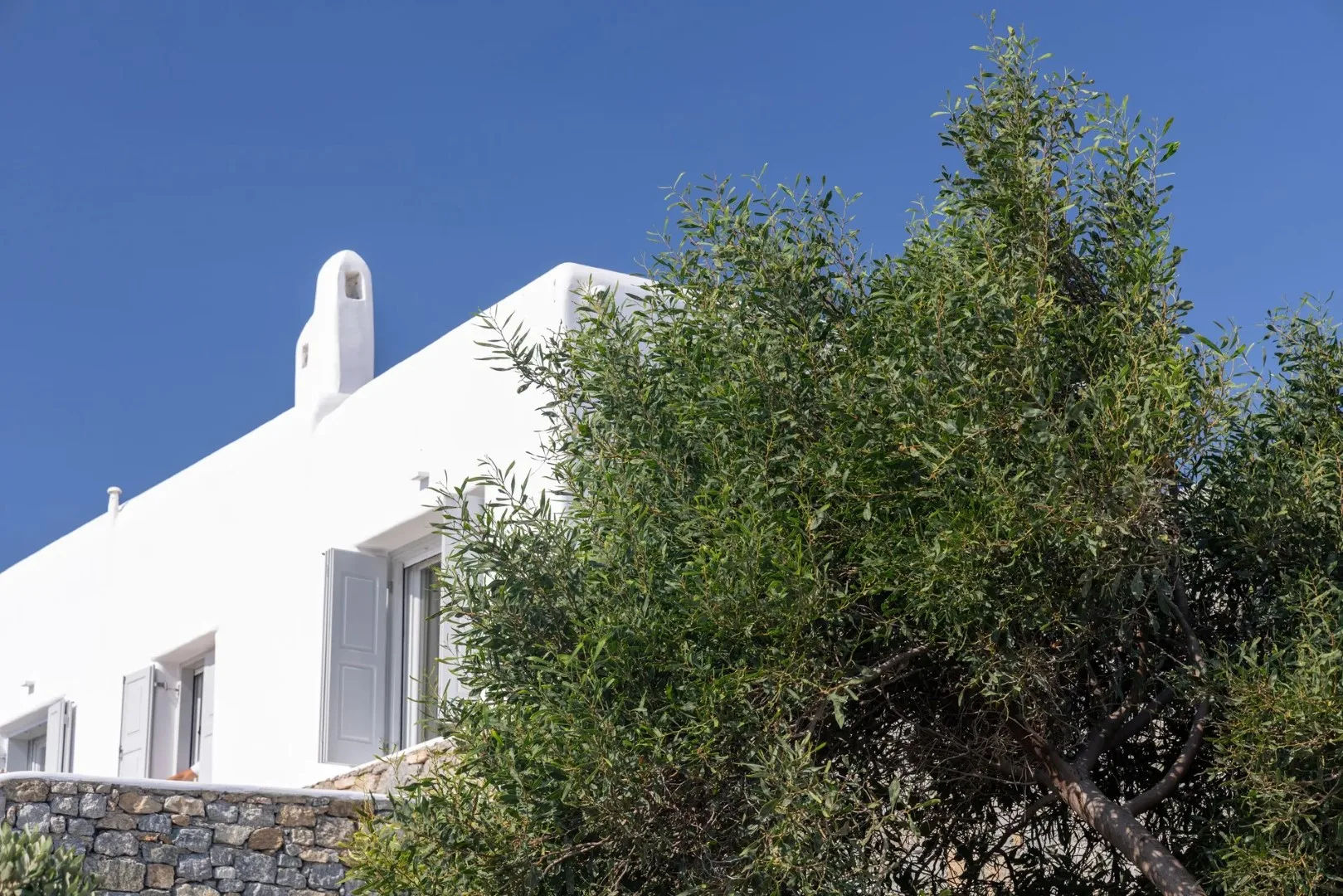 A white building with shuttered windows stands behind a leafy tree.
