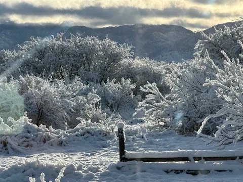 Representative hotel space: Snow-covered trees and a fence stand before a mountain landscape.