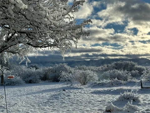 Representative hotel space: A snow-covered landscape with frost-coated trees beneath a cloudy sky.