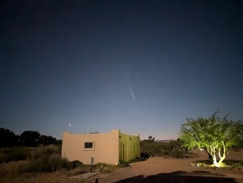 Representative hotel space: A small building stands beneath a dark night sky beside a lit tree.