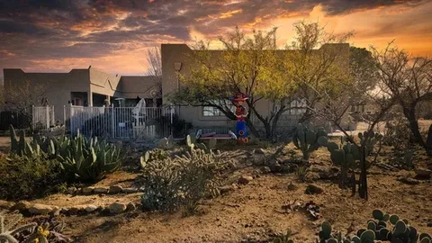 Representative hotel space: A low building sits behind a desert garden beneath a colorful sunset sky.