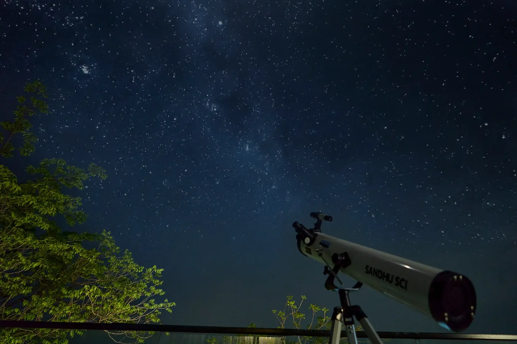 Un telescopio apunta hacia un cielo nocturno estrellado sobre los árboles.