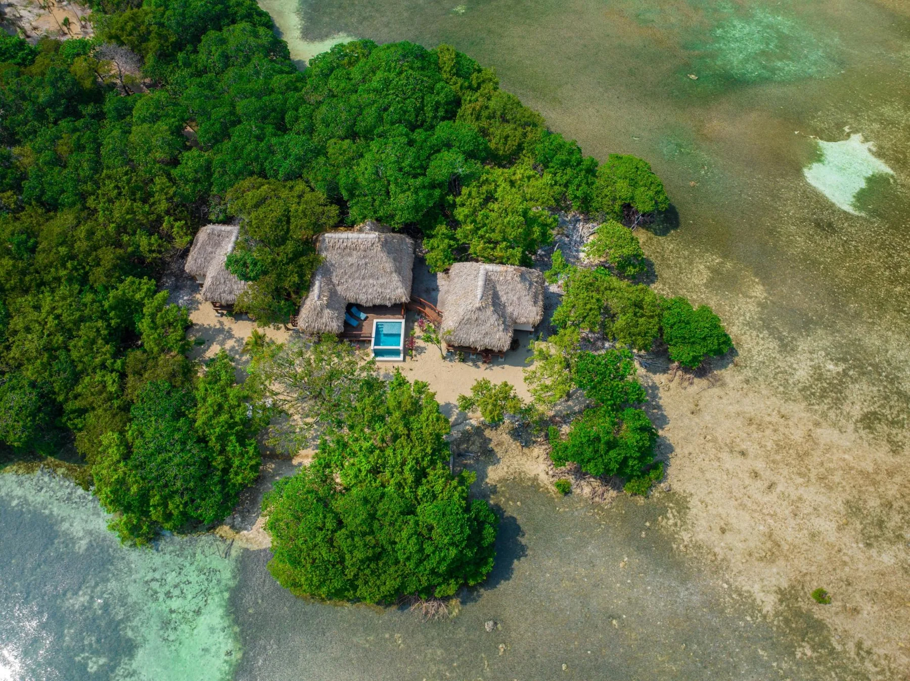 An aerial view of thatched buildings among dense greenery beside shallow water.