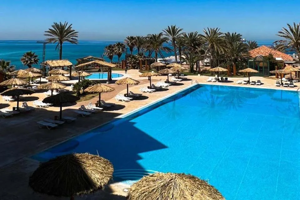 Espacio representativo del hotel: Una gran piscina al aire libre está rodeada de palmeras y asientos con sombra.