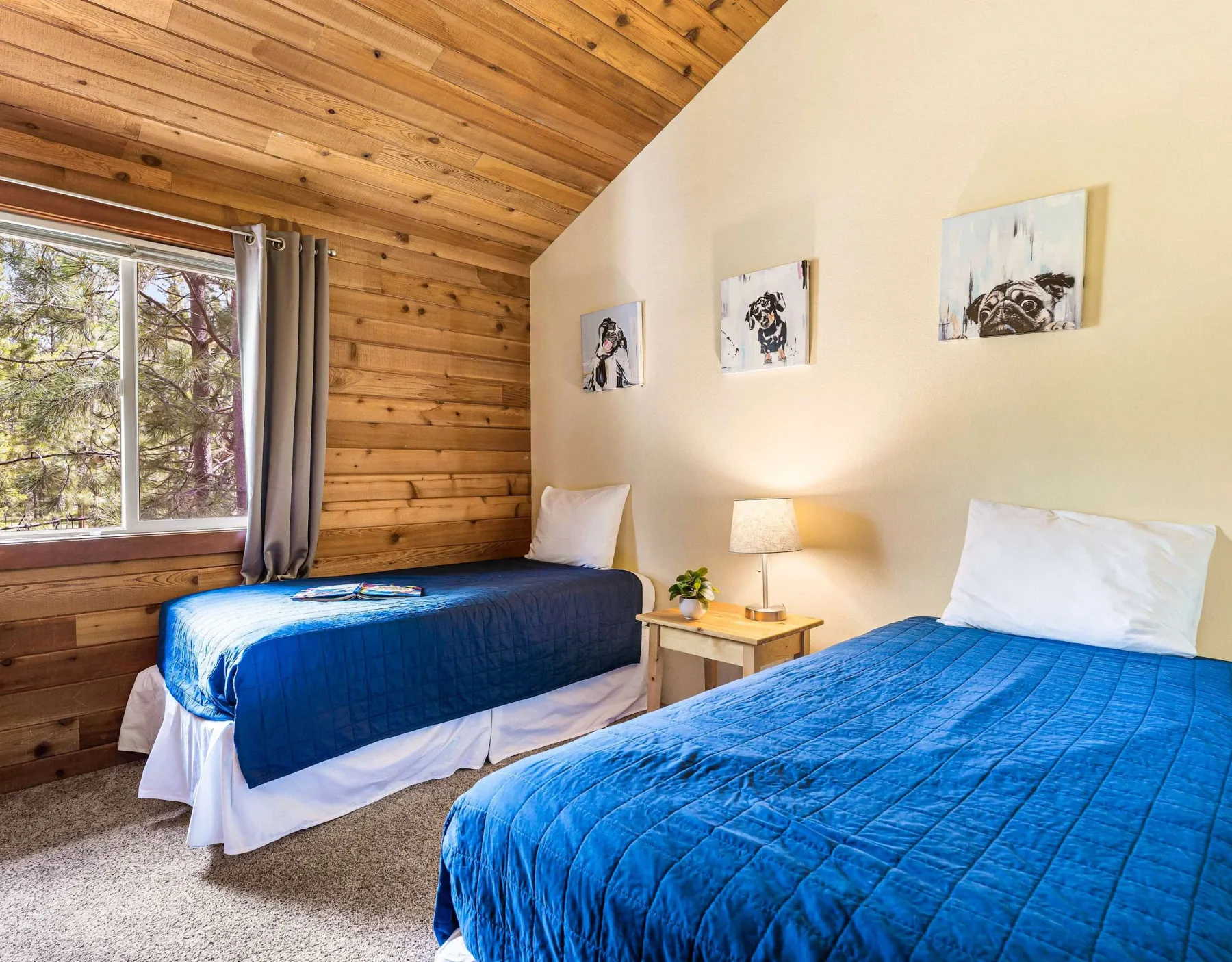 A bedroom with two beds covered in blue bedding and a window.