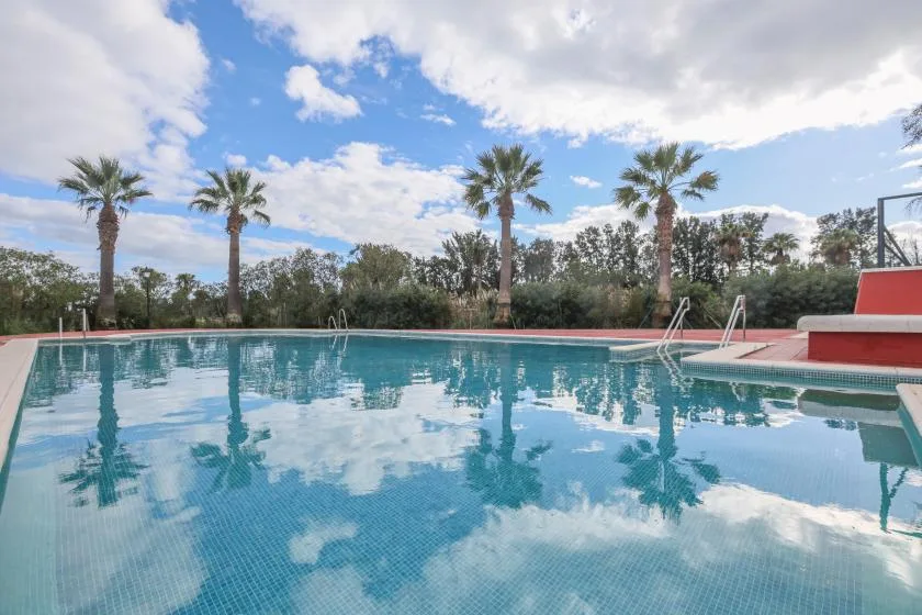 Shared amenity: Outdoor swimming pool with palm trees and a partly cloudy sky.