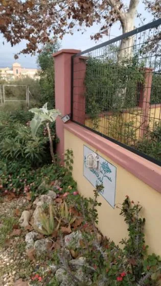 Shared amenity: A garden path bordered by flowering plants and a low wall.