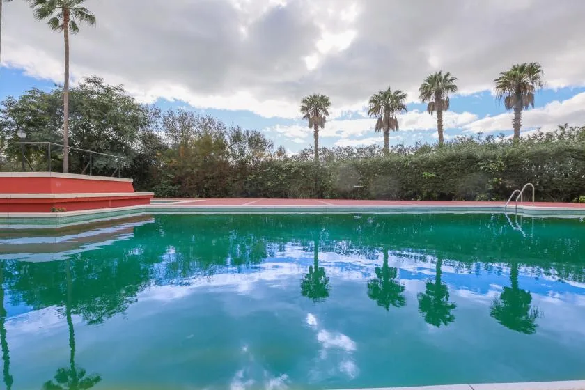 Shared amenity: An outdoor swimming pool reflects palm trees beneath a cloudy sky.