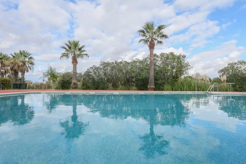 Shared amenity: An outdoor swimming pool reflects palm trees and a cloudy sky.
