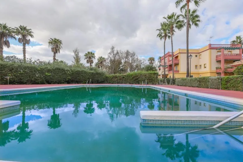 Shared amenity: An outdoor swimming pool beside a colorful building and palm trees.